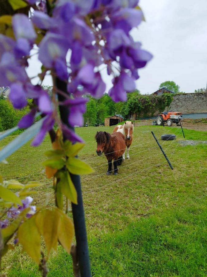Le Domaine De Pivette Bed and Breakfast Avranches Buitenkant foto